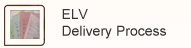 ELV Delivery Process